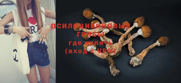 тгк Краснослободск