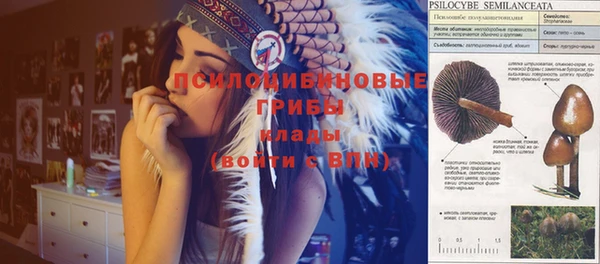 стафф Коряжма